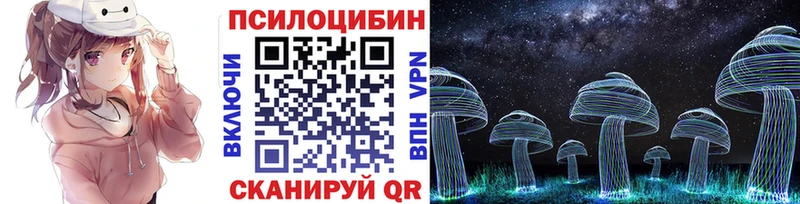 Псилоцибиновые грибы прущие грибы  где купить наркоту  KRAKEN рабочий сайт  Новозыбков 