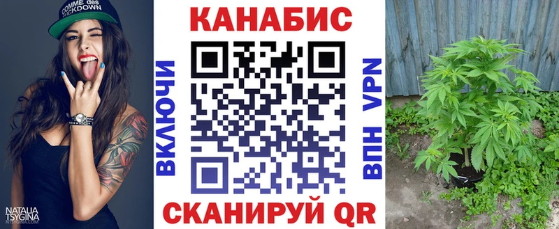 Конопля OG Kush Новозыбков